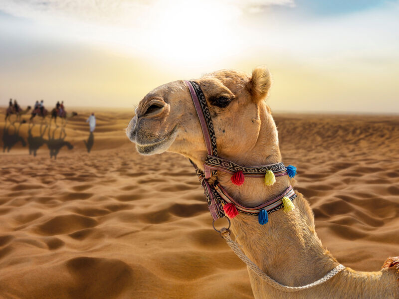 Dubai Serüveni Turu - Fly Dubai Hava Yolları ile - 4 Gece 5 Gün