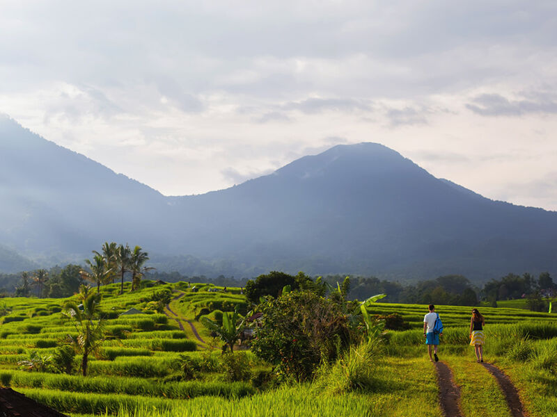 Görkemli Tropikal Ada Bali & Ubud - Singapur Hava Yolları ile - 5 Gece 8 Gün
